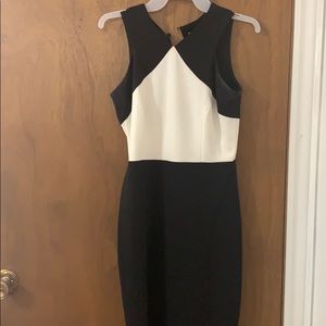 Calvin Klein business dress